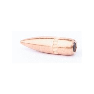 CAM PRO OGIVES 223 FMJ 62GR X 500