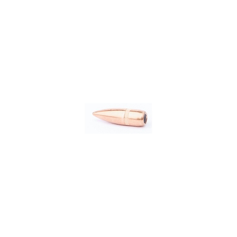 CAM PRO OGIVES 223 FMJ 62GR X 500
