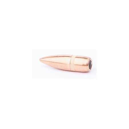 CAM PRO 223FMJ 55GR X500