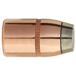 SIERRA OGIVES CAL.45 300GR JSP *8830