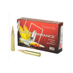 CARTOUCHES HORNADY 300 WIN MAG 180 GR SST
