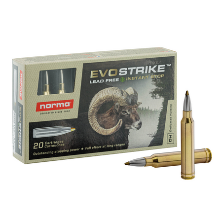 CARTOUCHES NORMA .300 WIN MAG EVOSTRIKE 9,0G/139GR