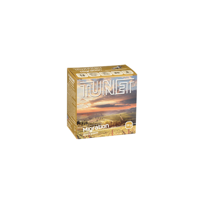 TUNET MIGRATION CAL 16 N°6 BG 28G