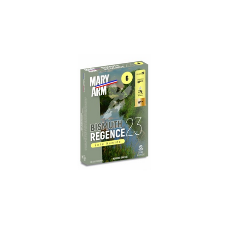 MARY ARM BISMUTH REGENCE 20/67 N°6