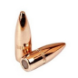 PPU PARTIZAN BALLES CAL.22 55GRS FMJ BT X 100
