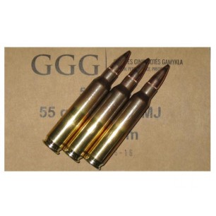 GGG 223 REM 55GR X 50