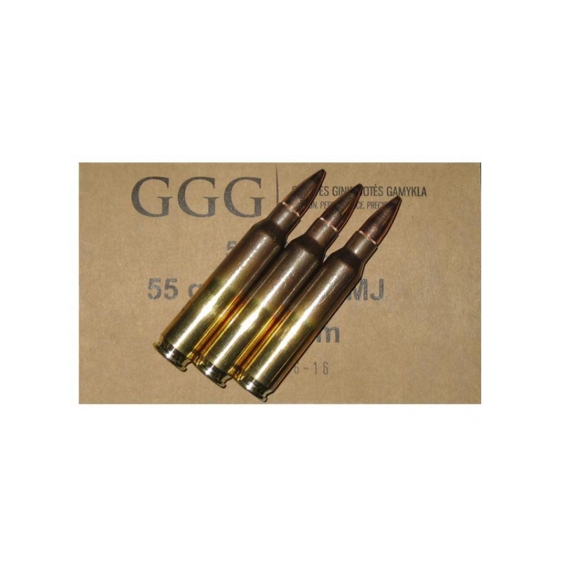 GGG 223 REM 55GR X 50