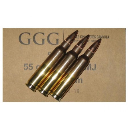 GGG 223 REM 55GR X 50